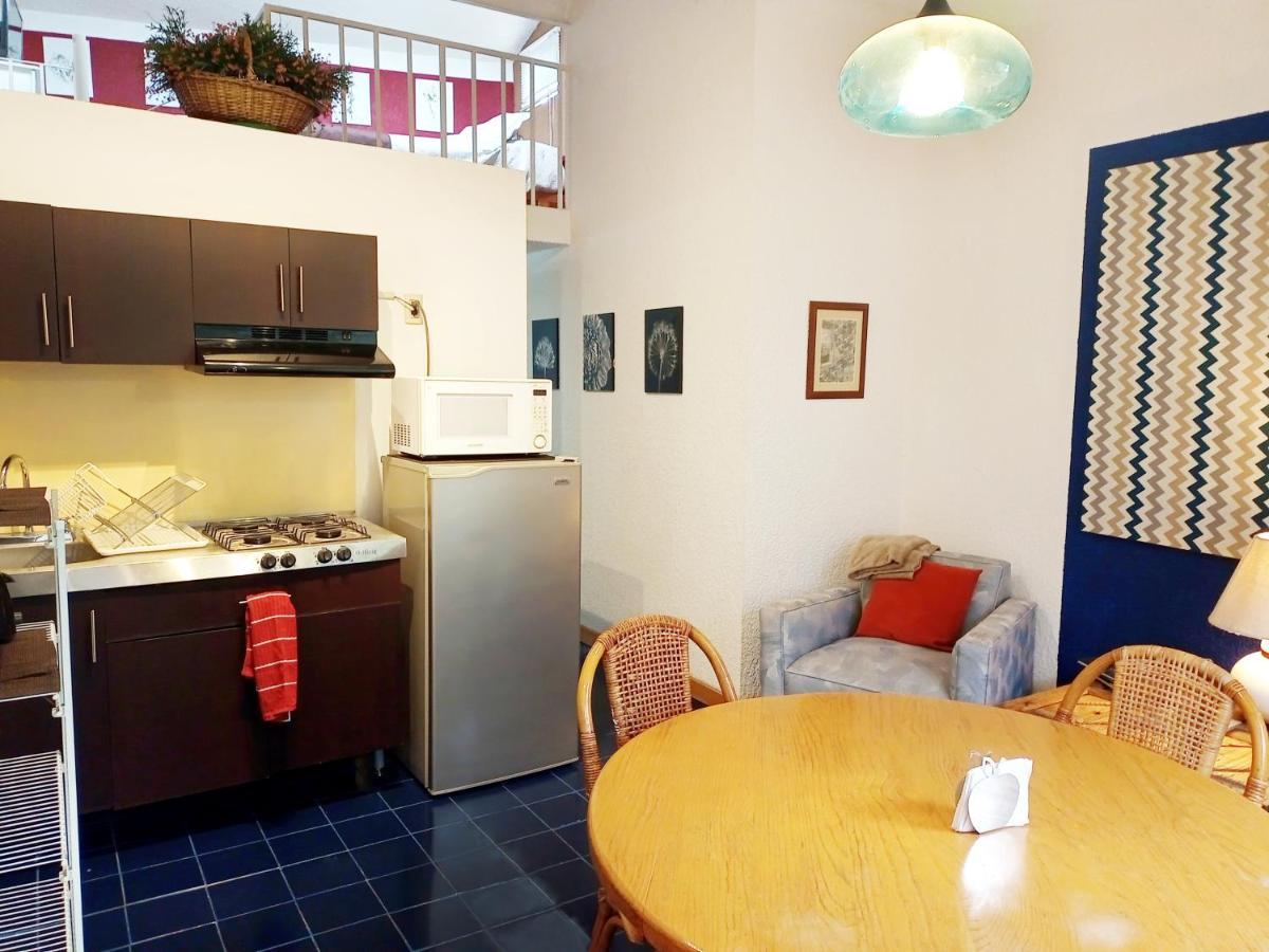 Suite 1-A Monasterio Garden House Welcome To San Angel Mexico City Exterior photo